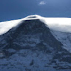 Meet your Posher, Henrietta